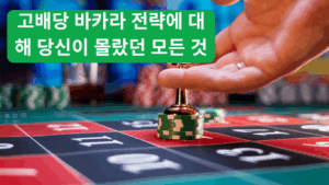 안전한 놀이터 확인을 위한 단계별 가이드